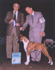 Ch. Triple Crowns Ultimate Warrior