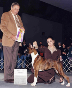 Ch Red Maple's Top This