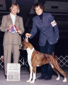 Ch Red Maple's Top This