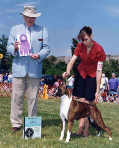 Ch Red Maple's Top This